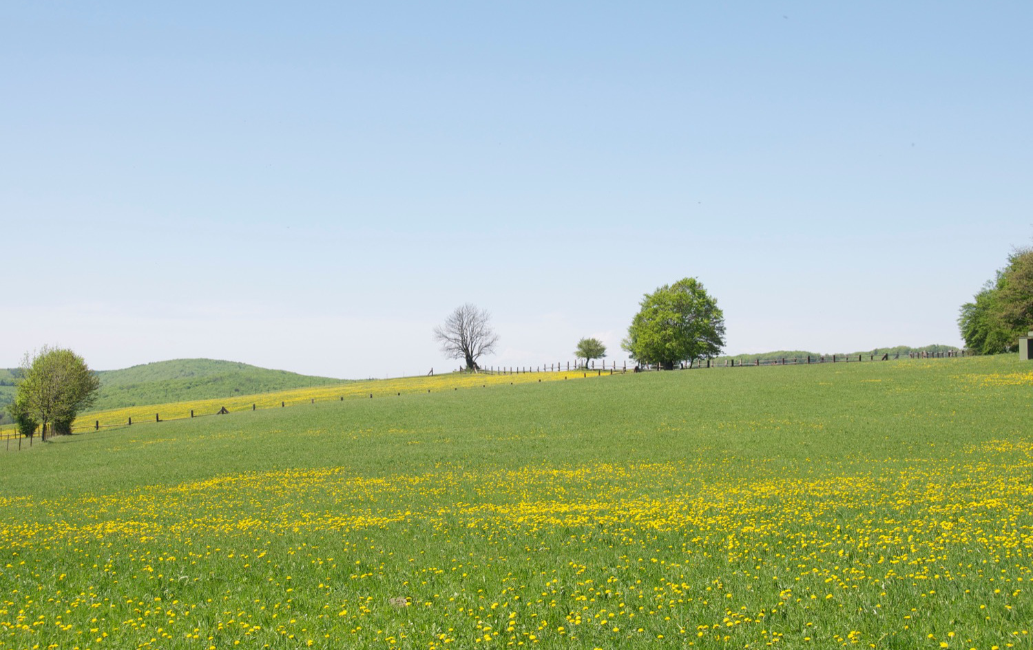 ピアニスト小原由起子｜松戸市 ピアノ教室